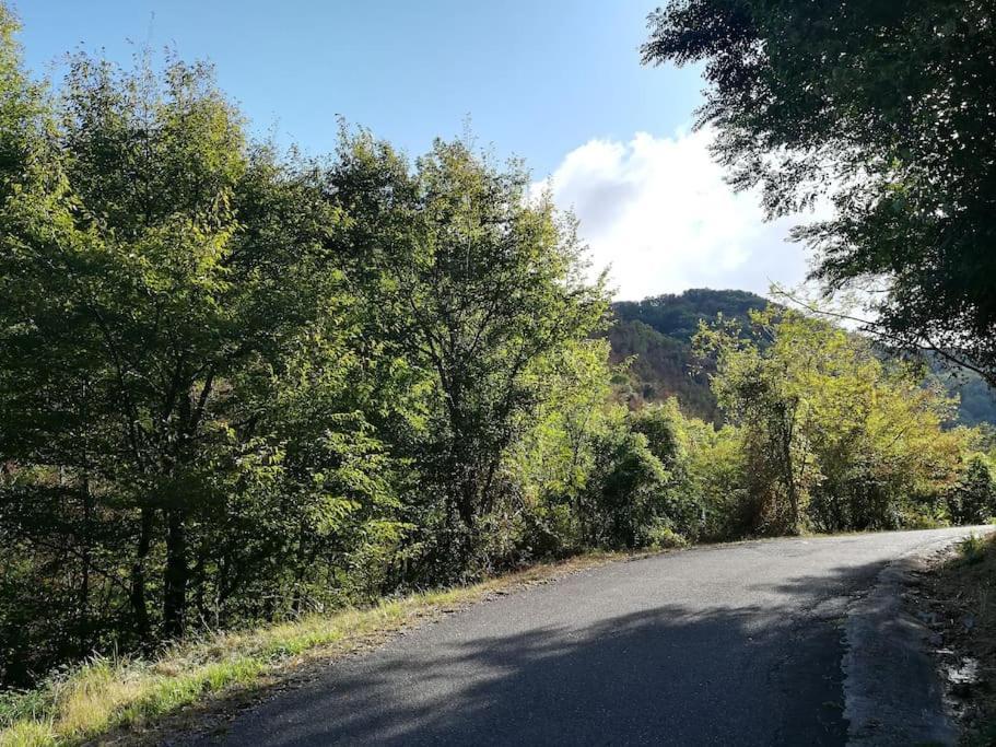 Quaratica Casa Nel Borgo Antico 빌라 외부 사진